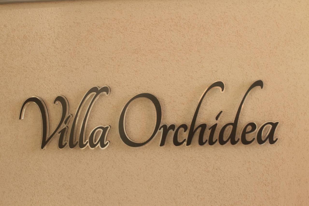 B&B Villa Orchidea Ricadi Exterior foto
