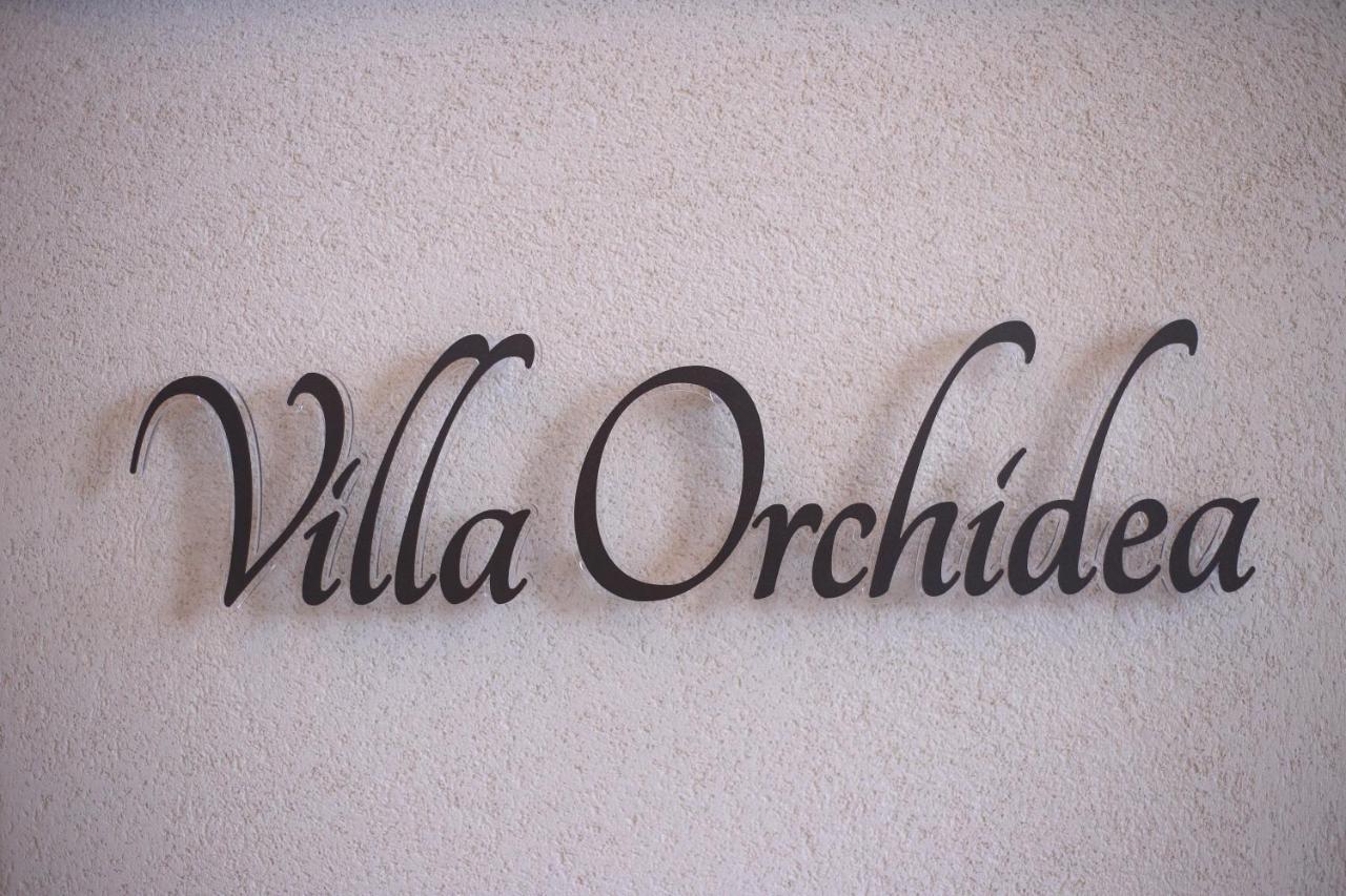 B&B Villa Orchidea Ricadi Exterior foto