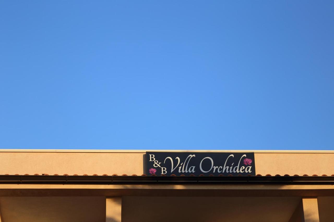 B&B Villa Orchidea Ricadi Exterior foto